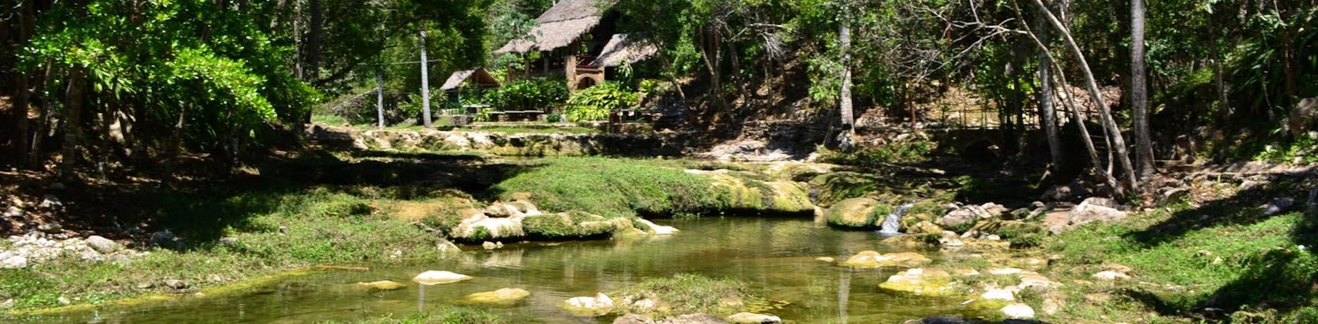 Visit the Community Las Terrazas and Soroa