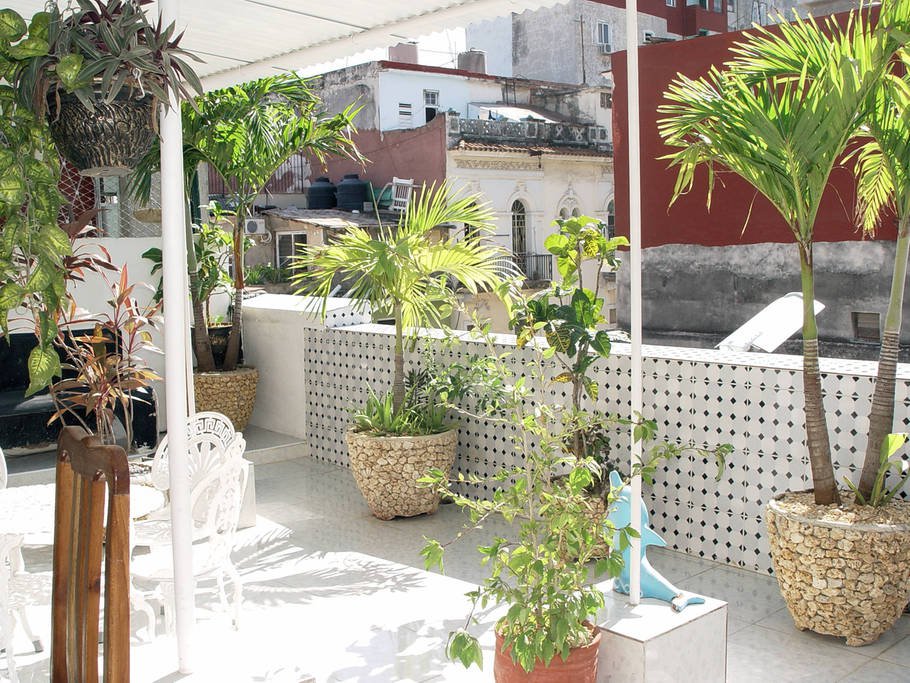 Back terrace
