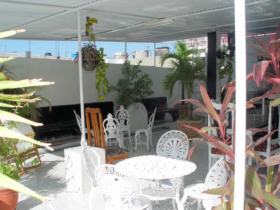 Back terrace