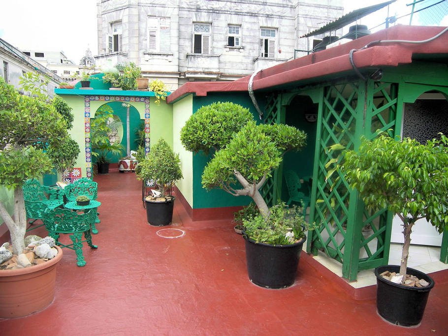 Terrace