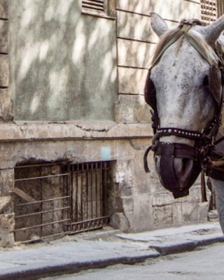 deep-havana