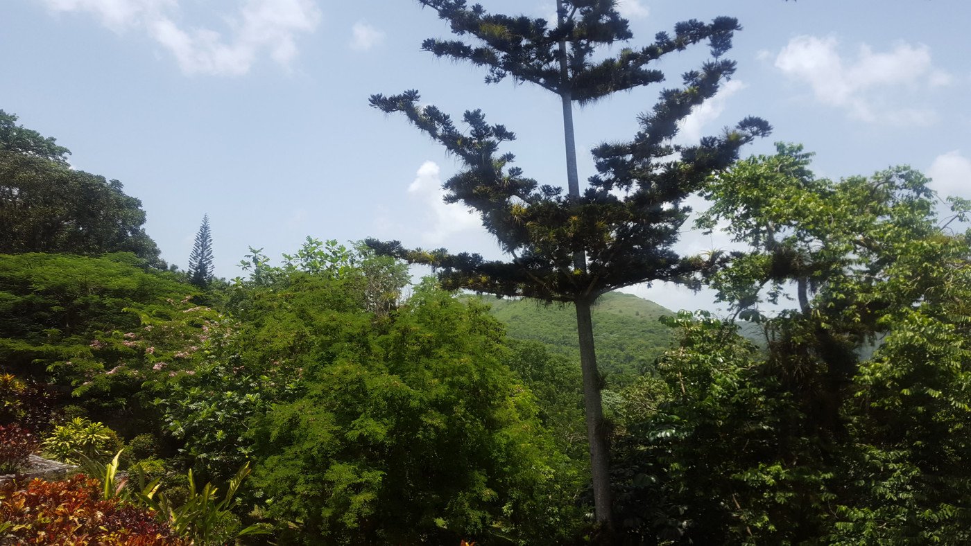 Soroa