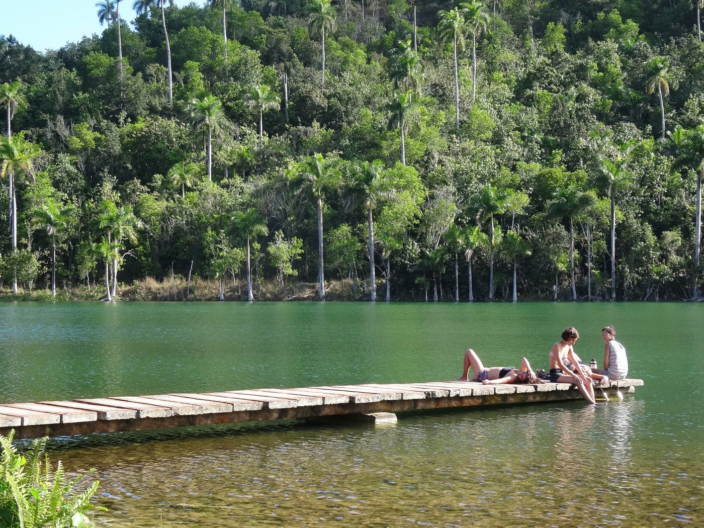 Las Terrazas