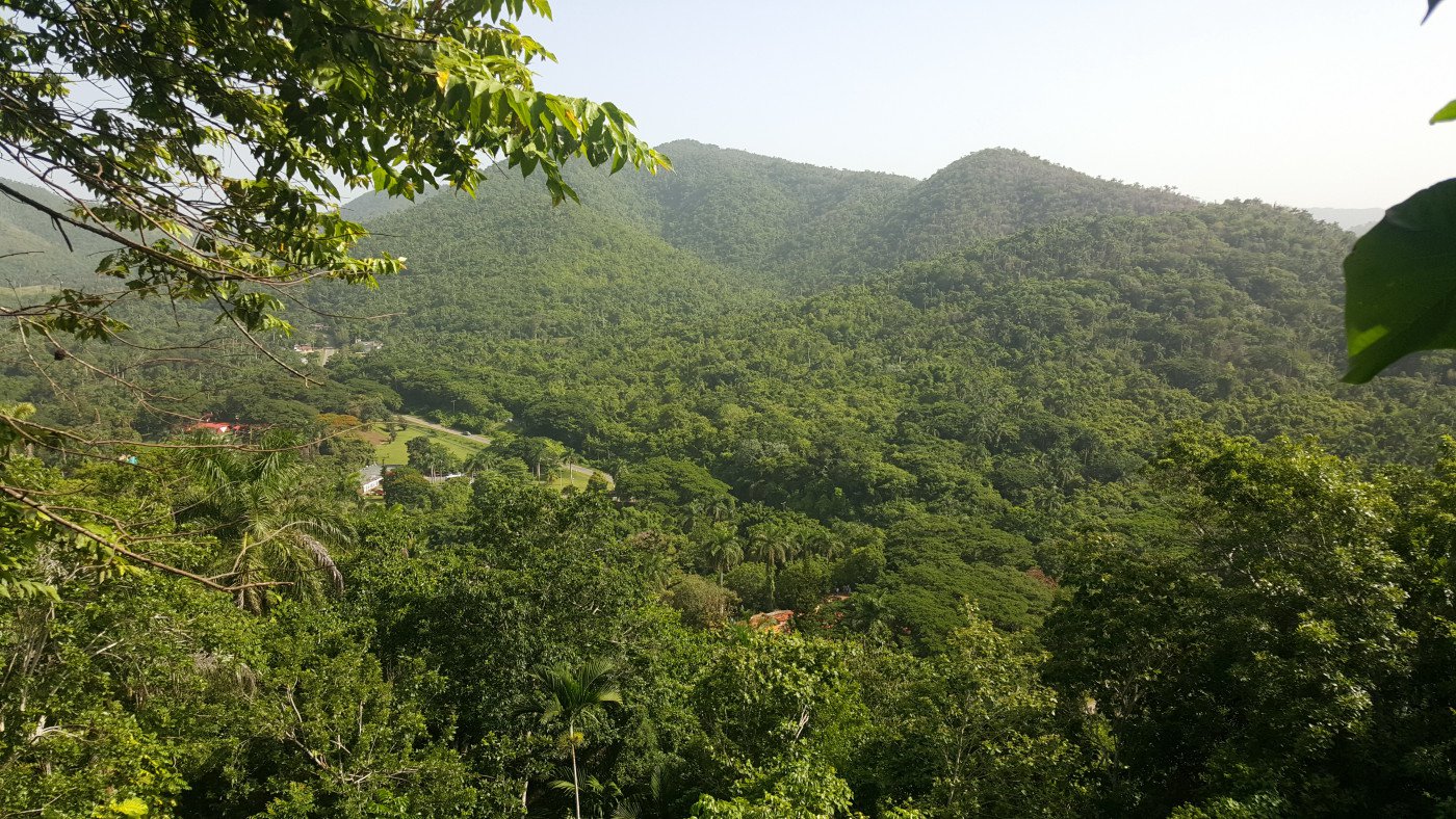Soroa