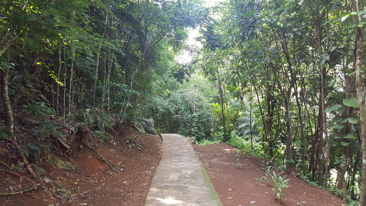 Soroa