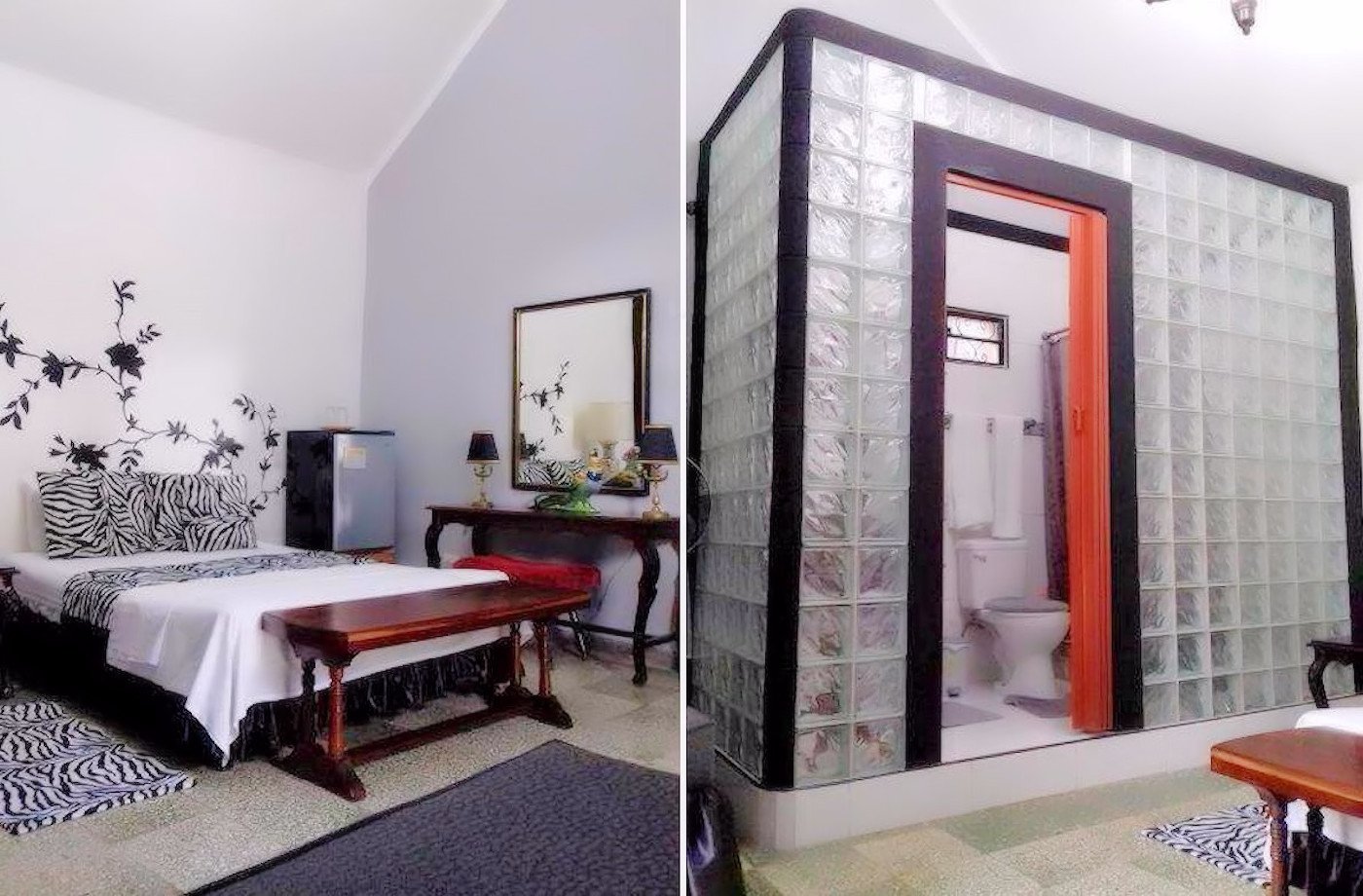 Zebra Room