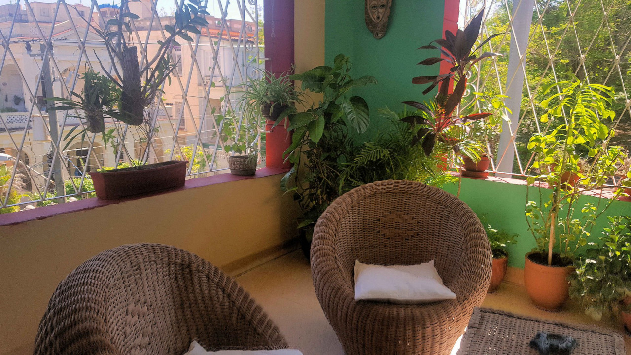 Terrace