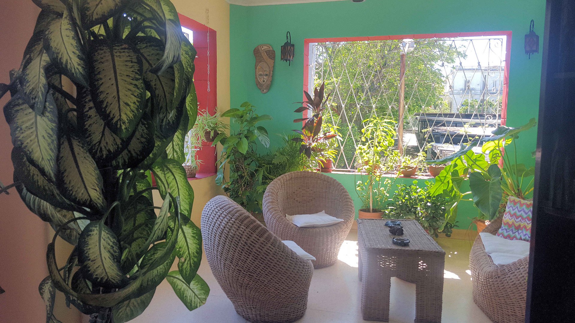 Terrace